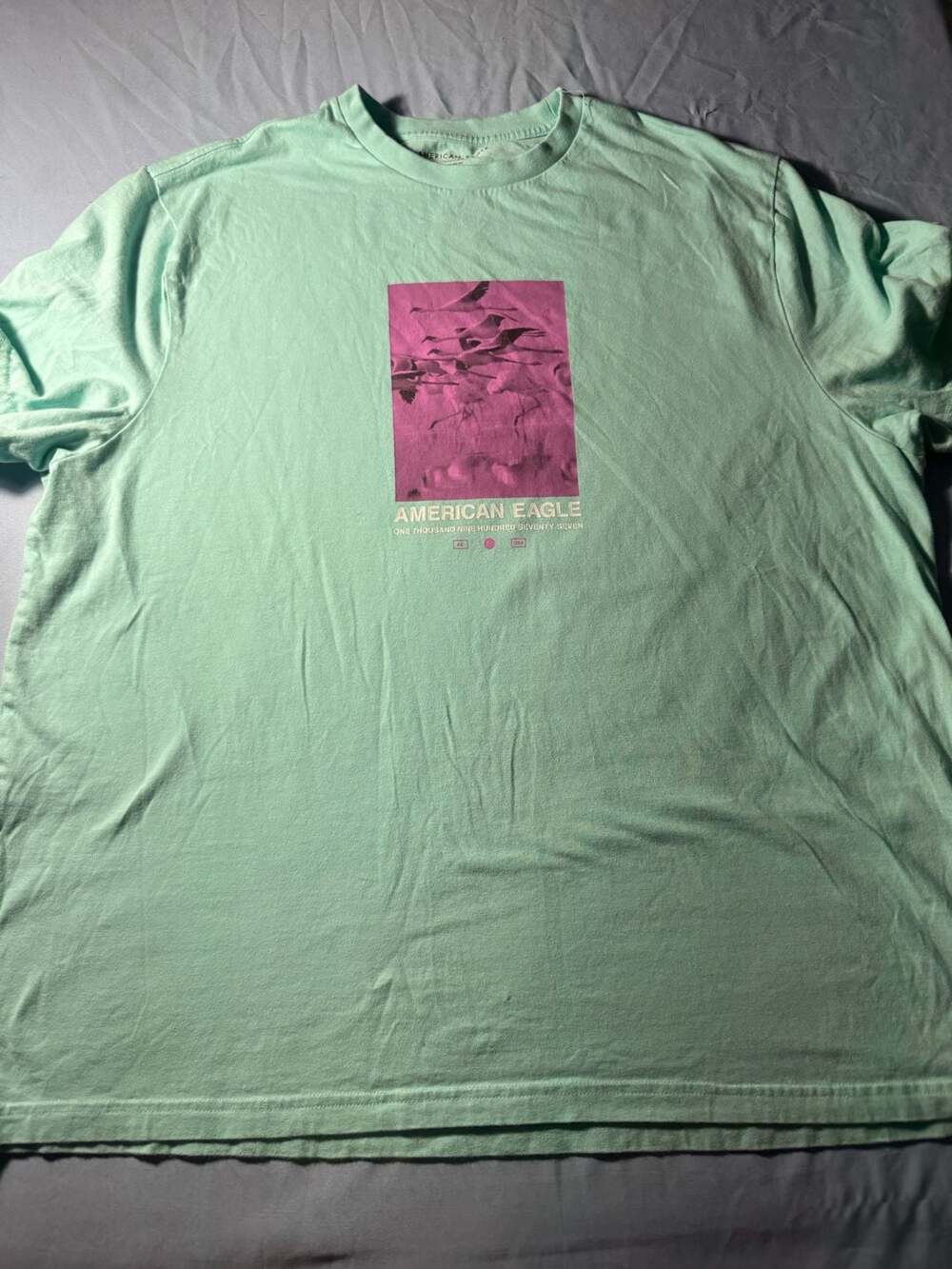 American Eagle Graphic T-Shirt XXL Mint Green Bird